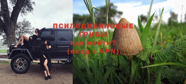 спайс Белокуриха