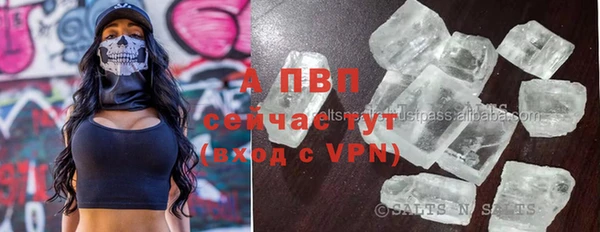 apvp Богданович